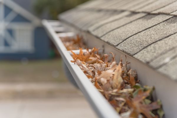 Leaf Barrier Installation in Winter Haven